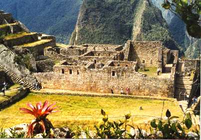 Red Flower.Machu Picchu Ruins